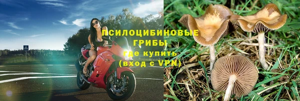 PSILOCYBIN Алексеевка