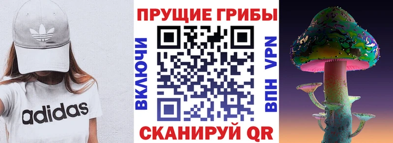 мега сайт  Кувшиново  Псилоцибиновые грибы Cubensis 