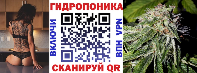 Бошки марихуана SATIVA & INDICA  Кувшиново 